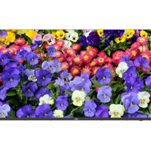 43" LED Monitor
